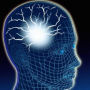 BrainTriggers.com